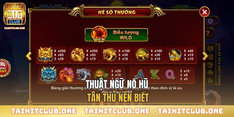 Thuật ngữ nổ hũ - Tân thủ nên biết